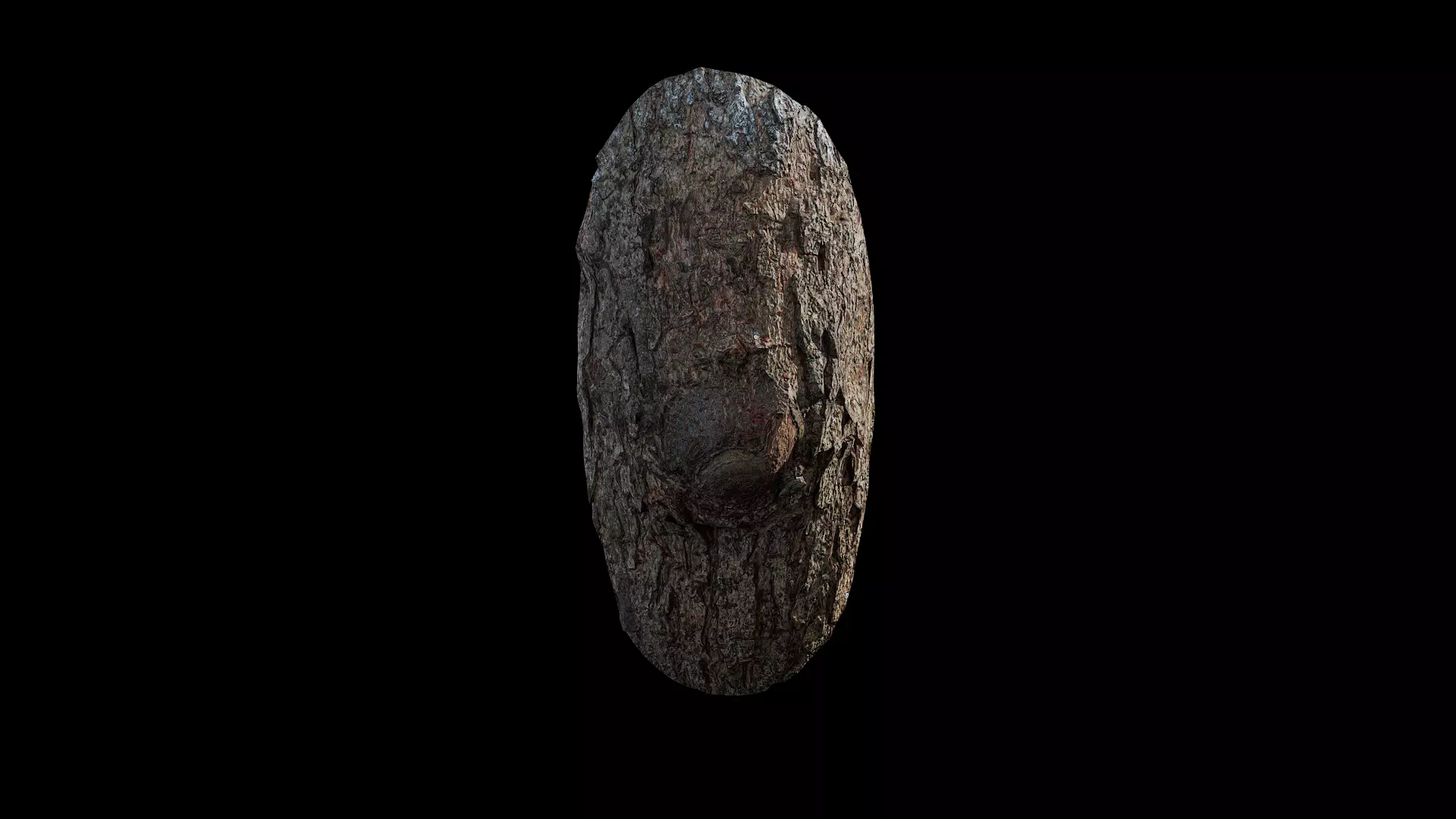 Anydrafts Cinnamomum bodinieri Burl 01 Low-poly 3D model