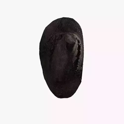 Anydrafts Cinnamomum burmannii Burl 02