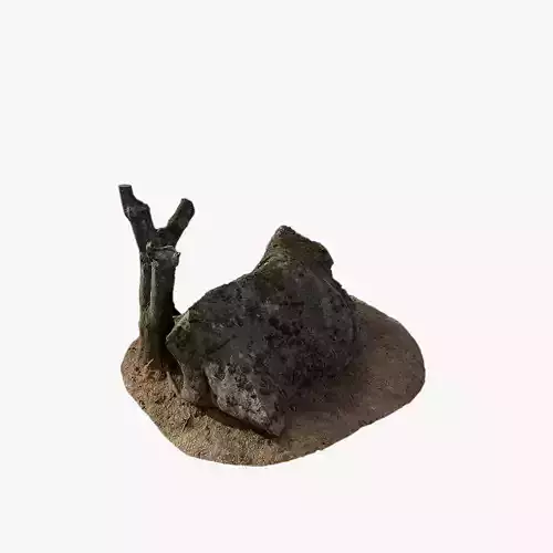 Anydrafts Mossy Rock 17