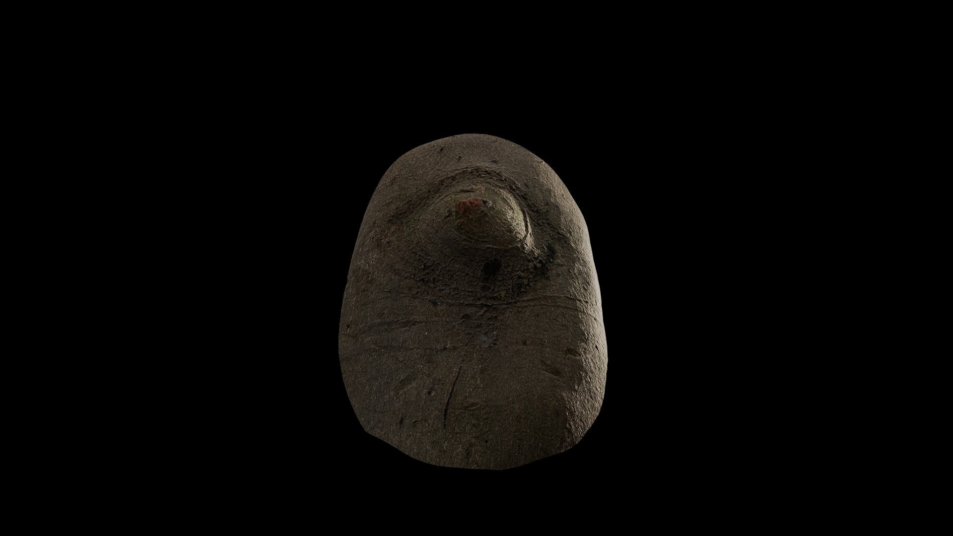 Anydrafts Cinnamomum burmannii Burl 08 Low-poly 3D model_5