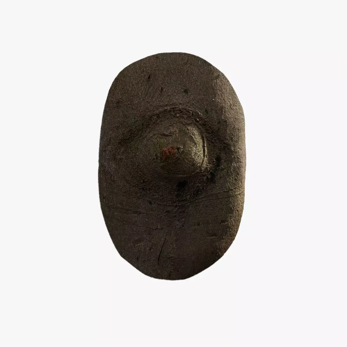 Anydrafts Cinnamomum burmannii Burl 08 Low-poly 3D model_0