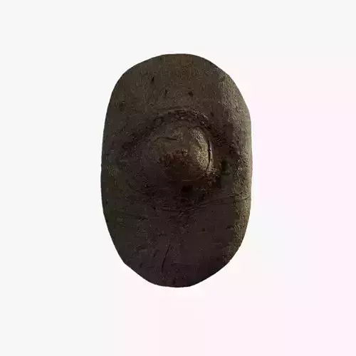 Anydrafts Cinnamomum burmannii Burl 08