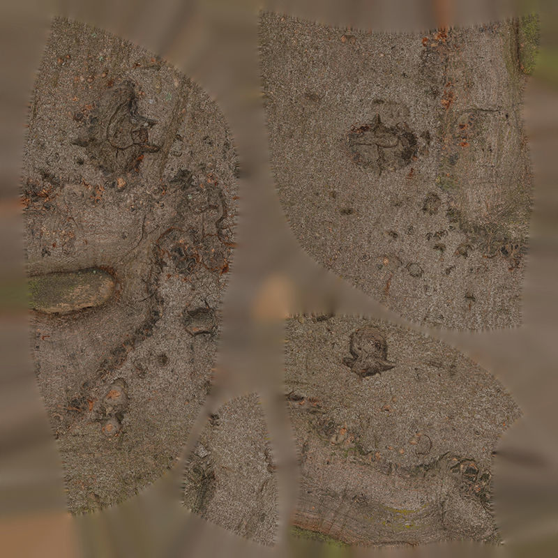 Anydrafts Cinnamomum burmannii Burl 09 Low-poly 3D model_1