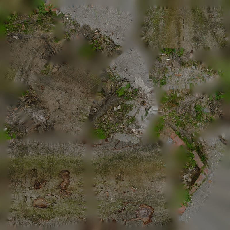 Anydrafts Cinnamomum burmannii Trunk 42 Low-poly 3D model_1