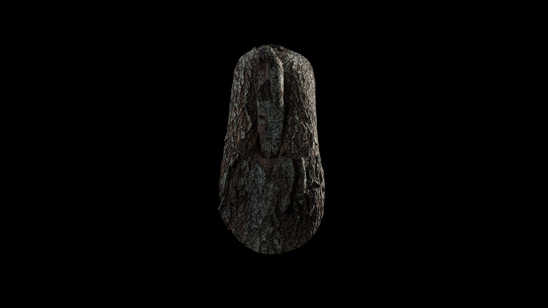 Anydrafts Cinnamomum camphora Burl 03 Low-poly 3D model_5