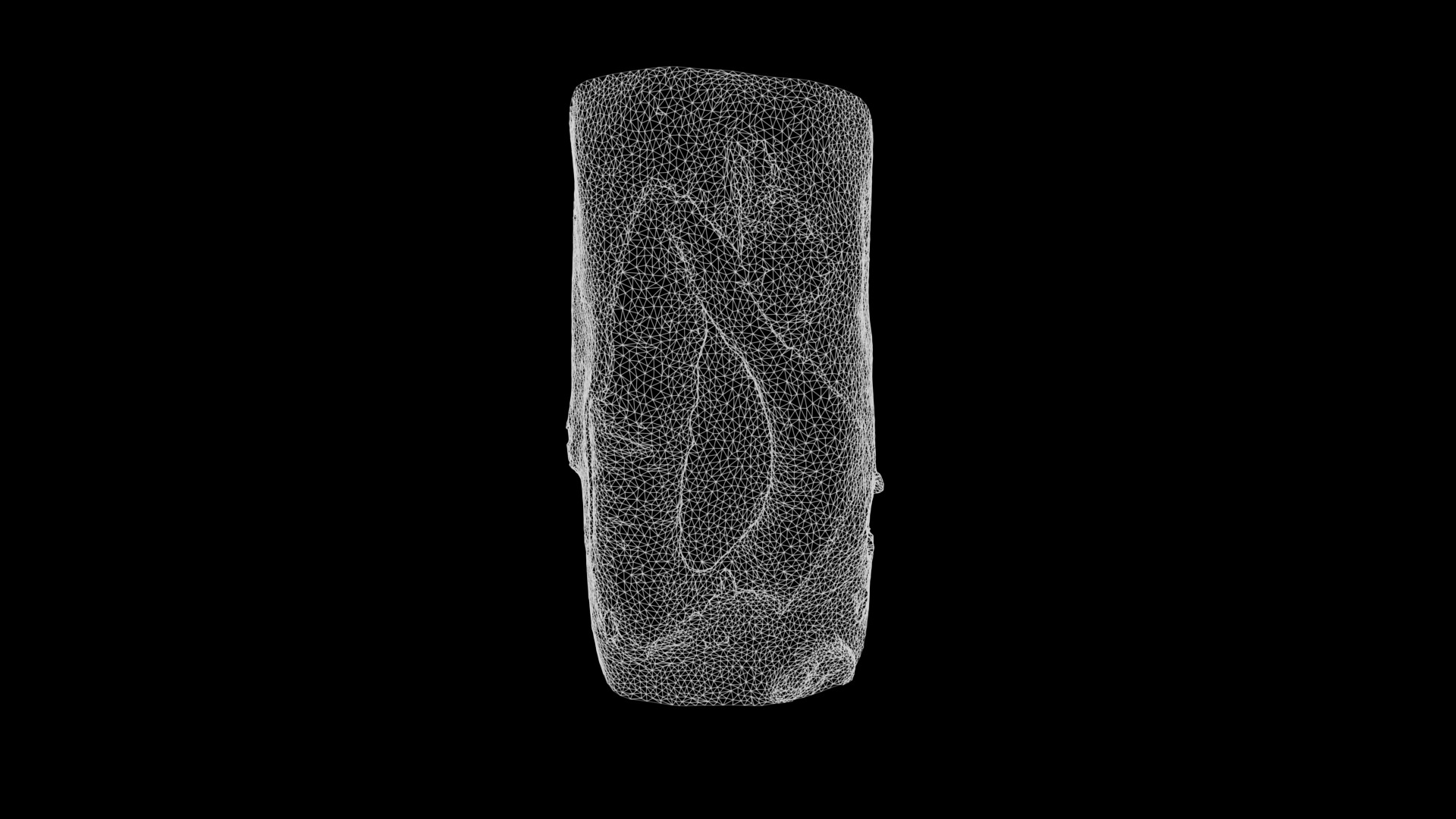 Anydrafts Cinnamomum japonicum Burl 01 Low-poly 3D model_3