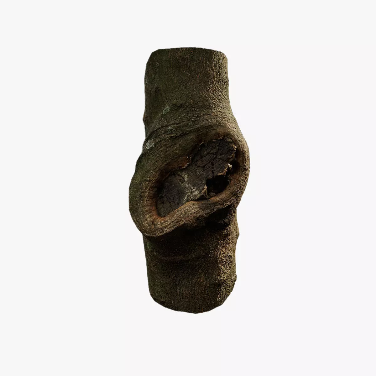 Anydrafts Citrus maxima Burl 01 Low-poly 3D model