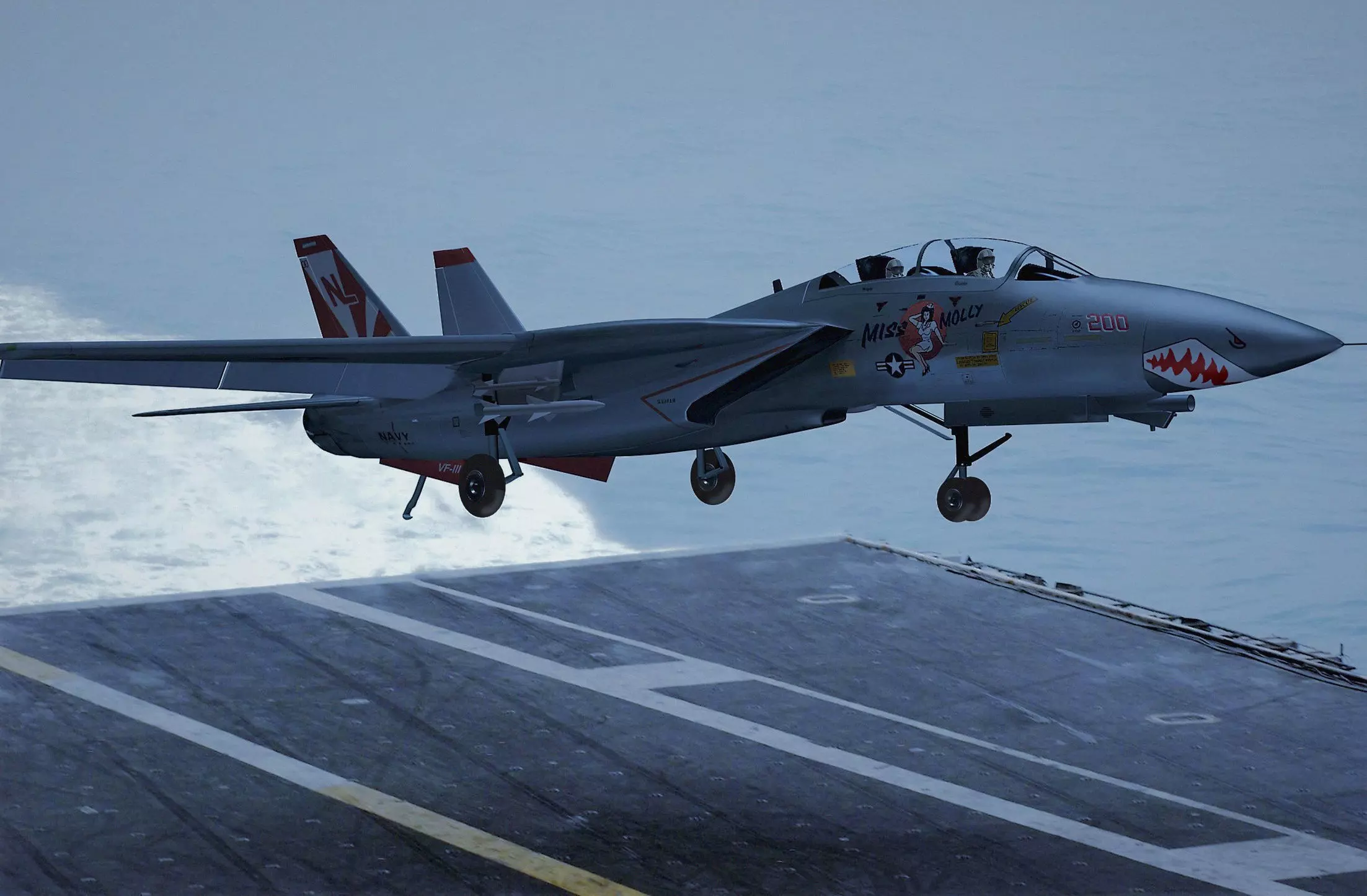 F-14 Miss Molly Free 3D model