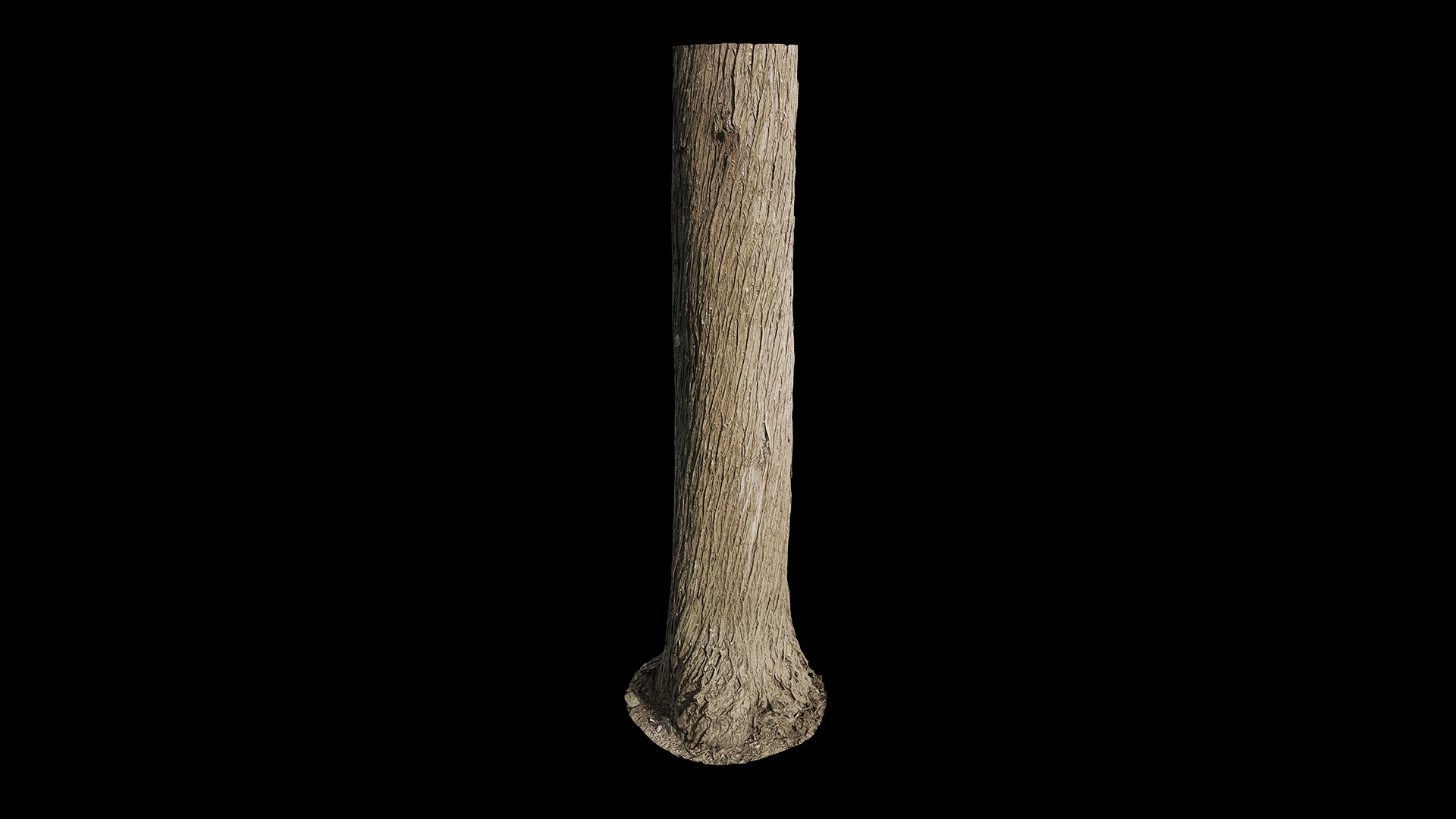 Anydrafts Cupressus funebris Trunk 01 Low-poly 3D model_2