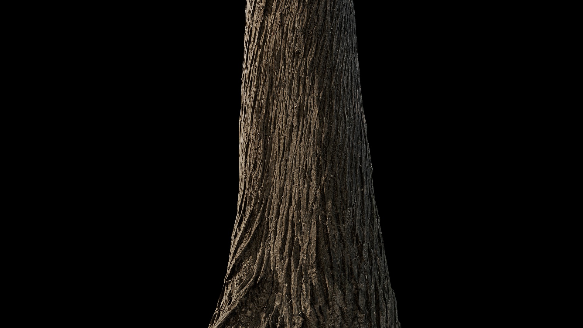 Anydrafts Cupressus funebris Trunk 01 Low-poly 3D model_7