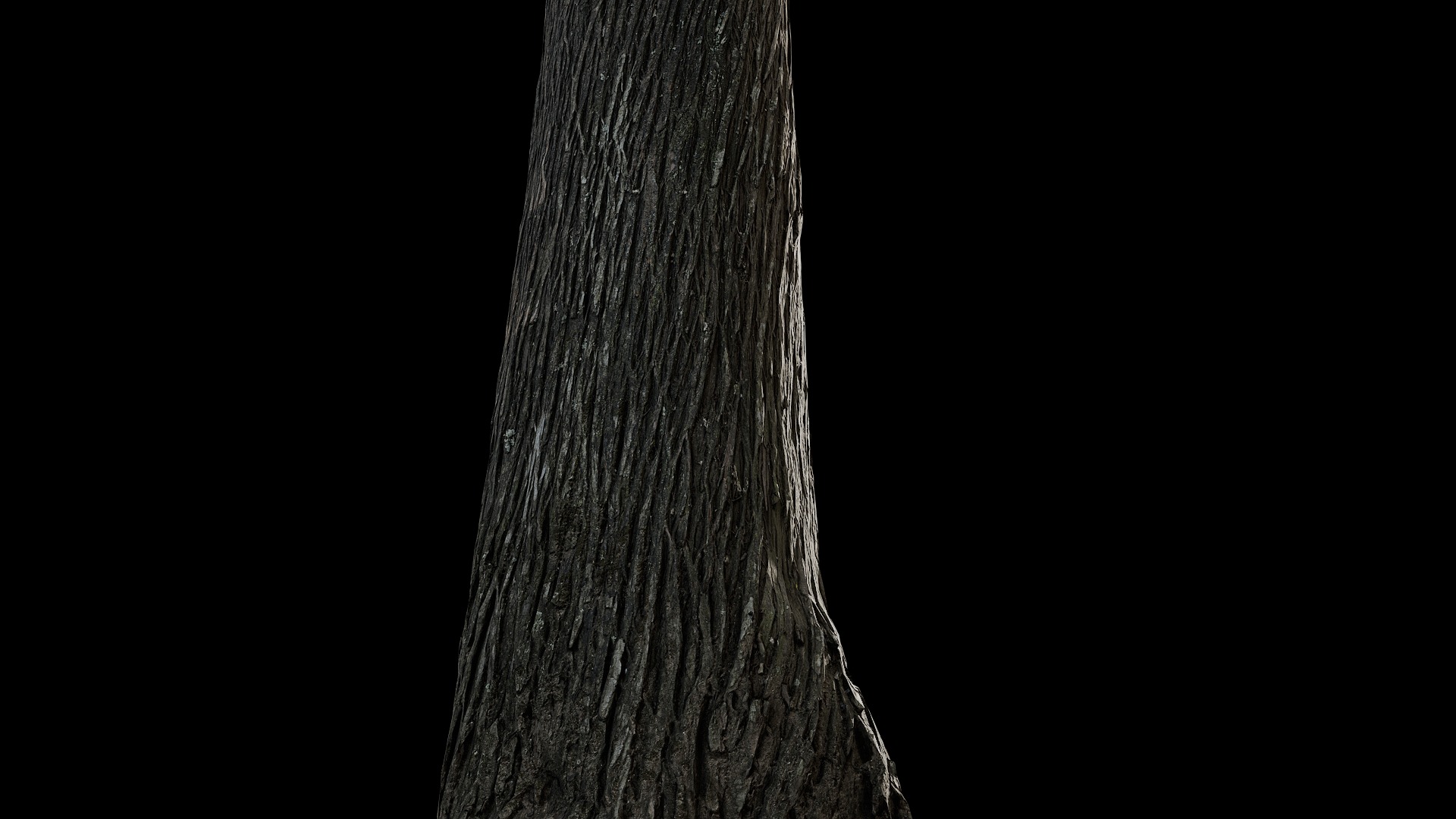 Anydrafts Cupressus funebris Trunk 01 Low-poly 3D model_6