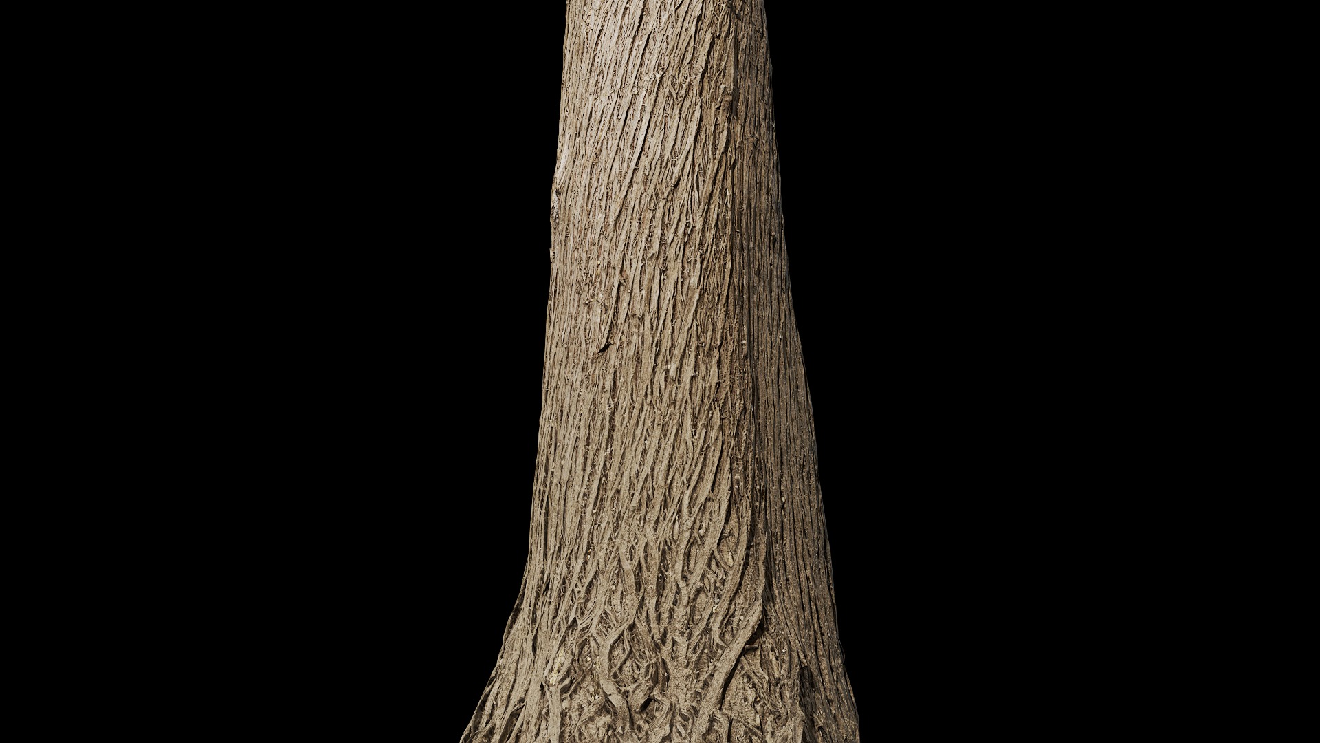 Anydrafts Cupressus funebris Trunk 01 Low-poly 3D model_8