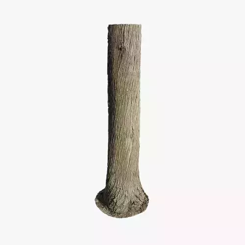 Anydrafts Cupressus funebris Trunk 01 Low-poly 3D model