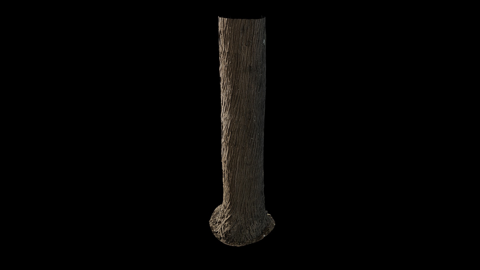 Anydrafts Cupressus funebris Trunk 01 Low-poly 3D model_5
