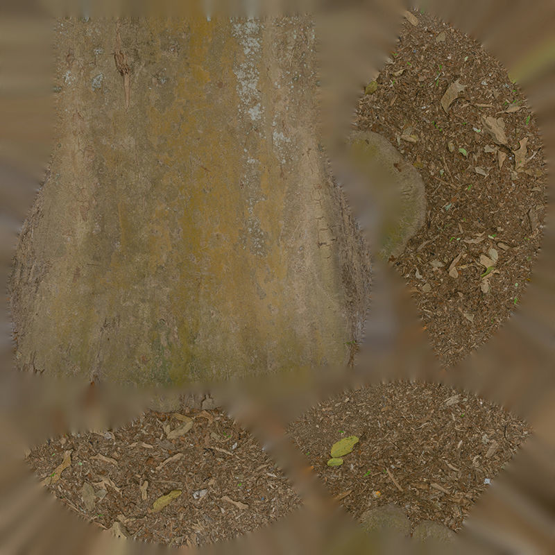 Anydrafts Dalbergia cultrata Trunk 01 Low-poly 3D model_1