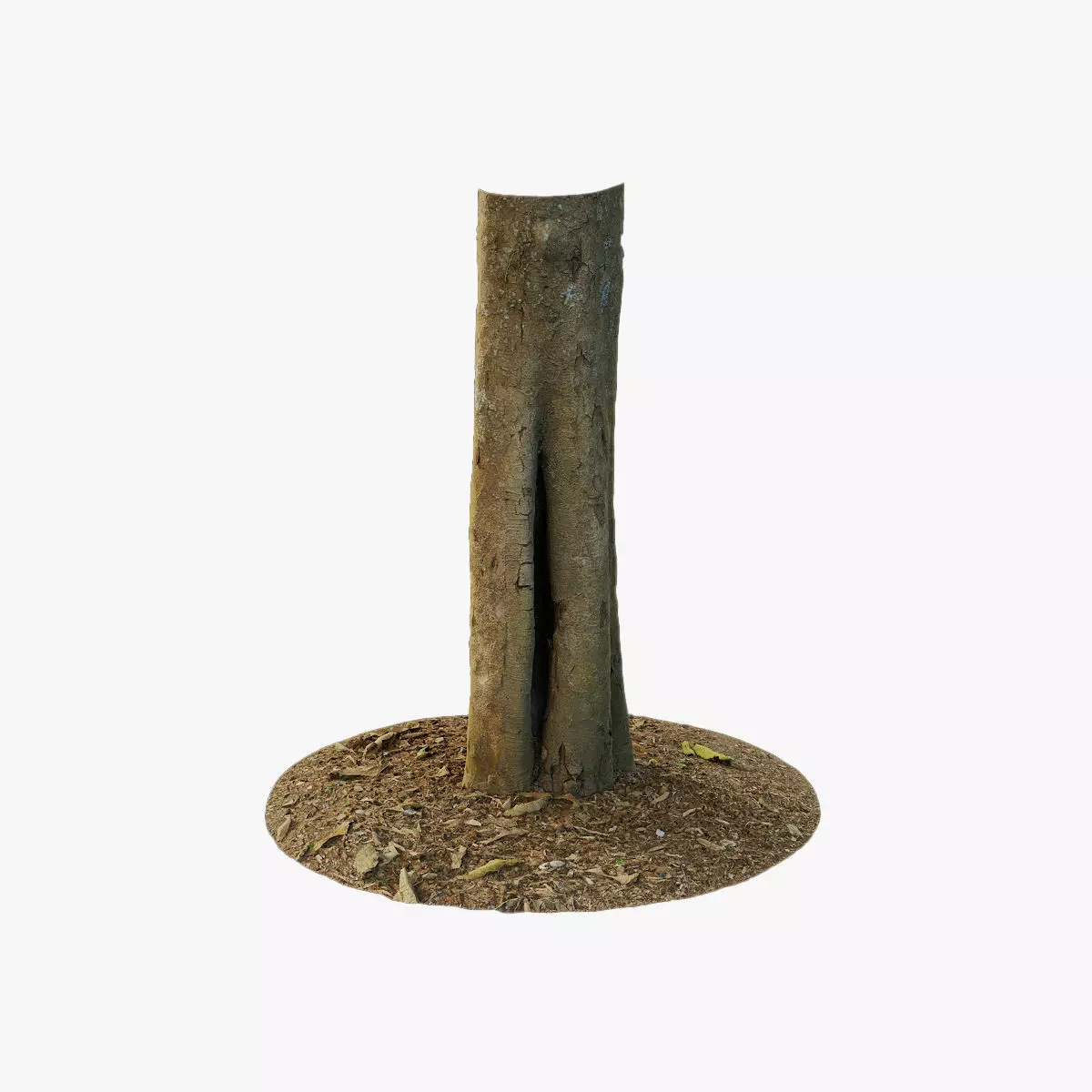 Anydrafts Dalbergia cultrata Trunk 01 Low-poly 3D model_0