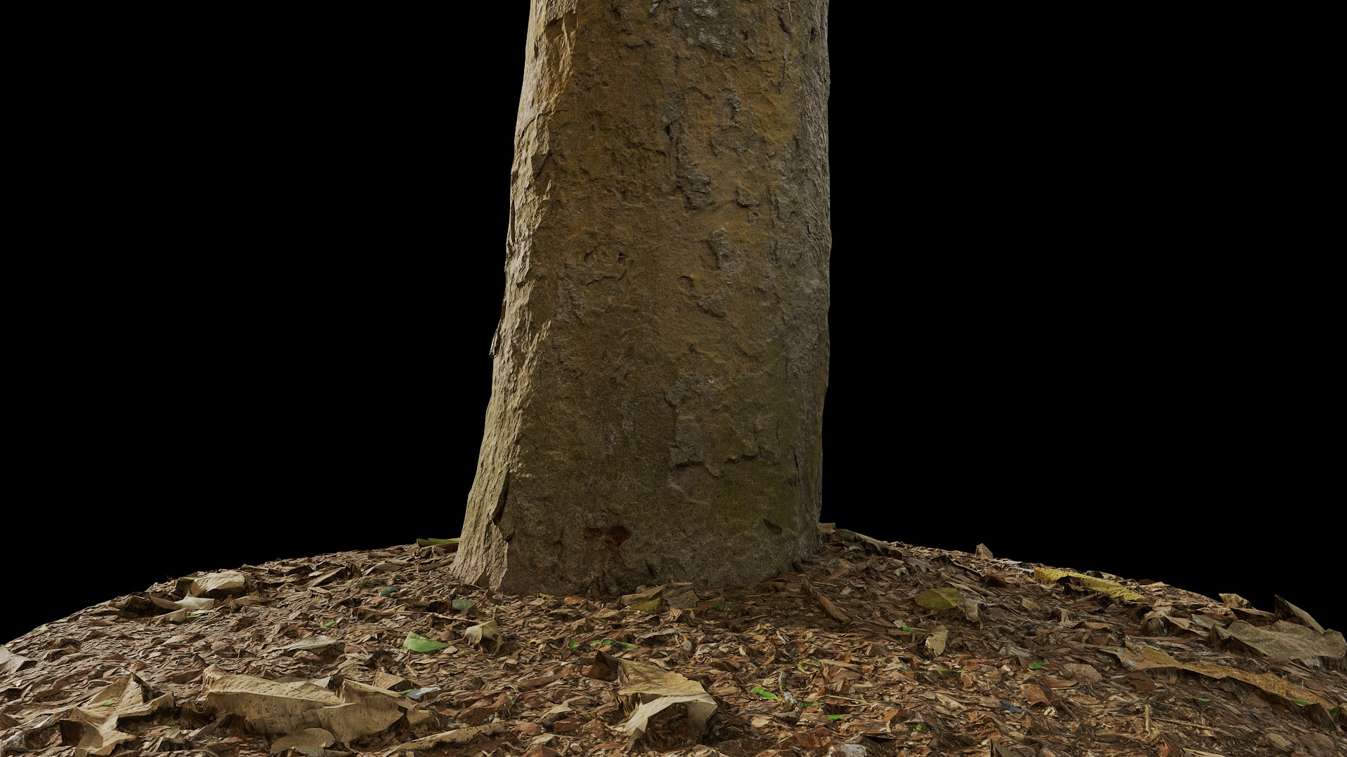 Anydrafts Dalbergia cultrata Trunk 01 Low-poly 3D model_7