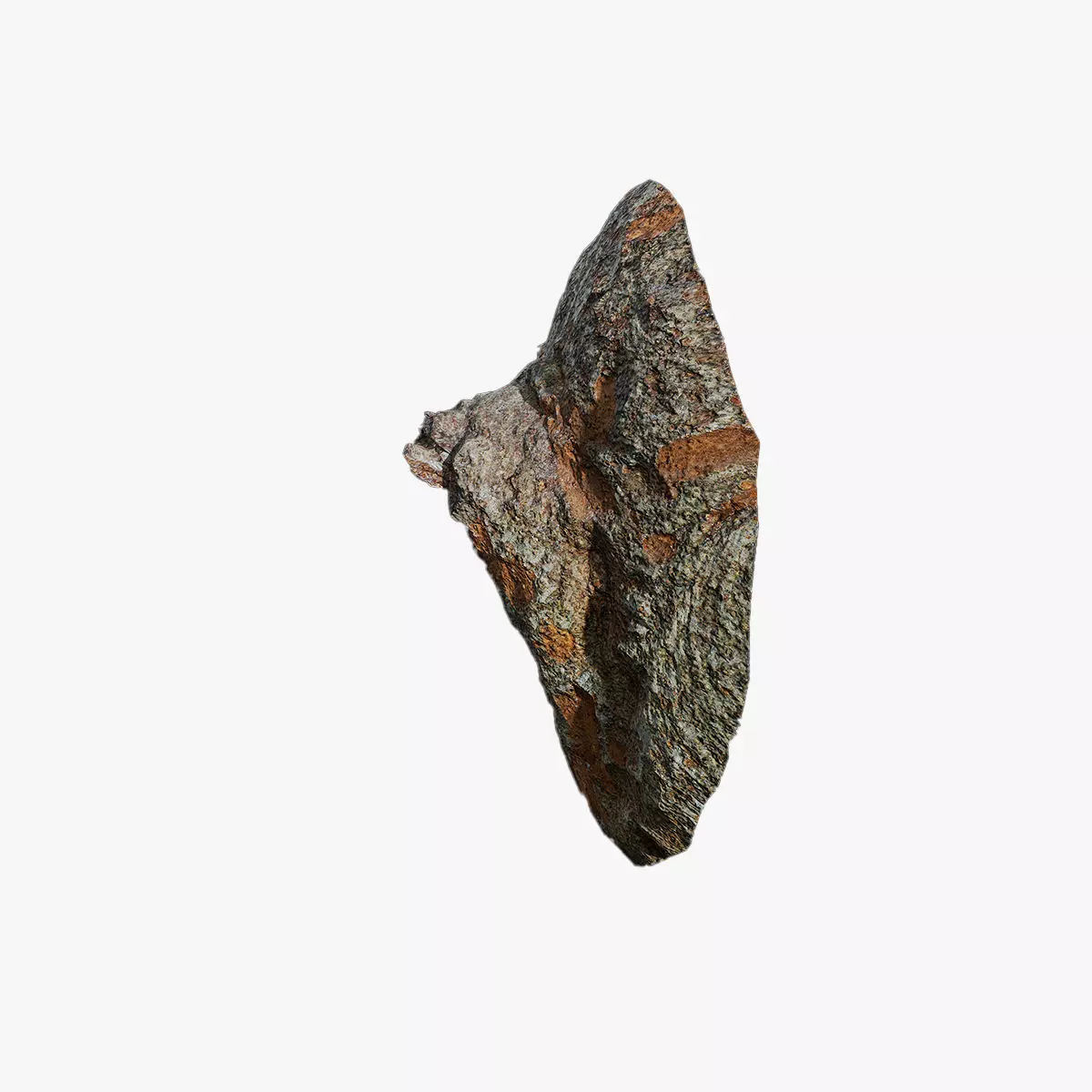 Anydrafts Eriobotrya japonica Burl 02 Low-poly 3D model