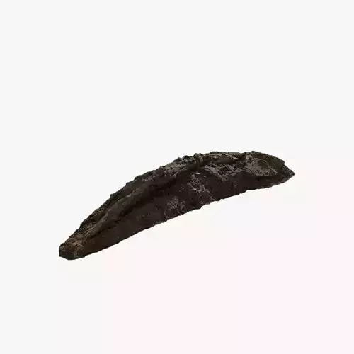 Anydrafts Fallen Trunk 05