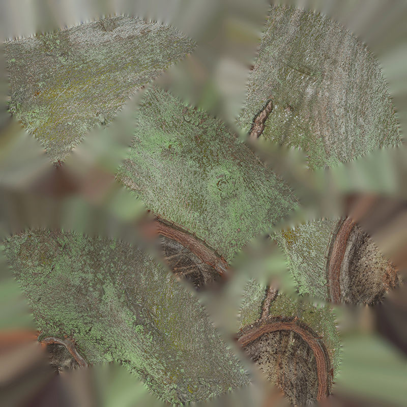 Anydrafts Ficus microcarpa Burl 08 Low-poly 3D model_1