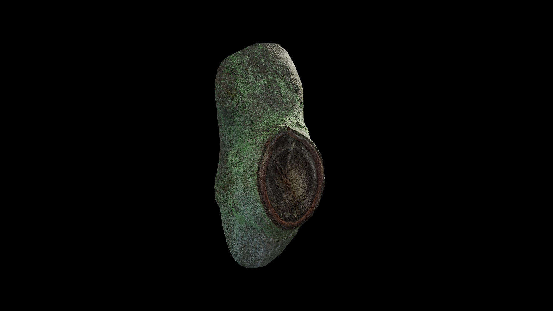 Anydrafts Ficus microcarpa Burl 08 Low-poly 3D model_8