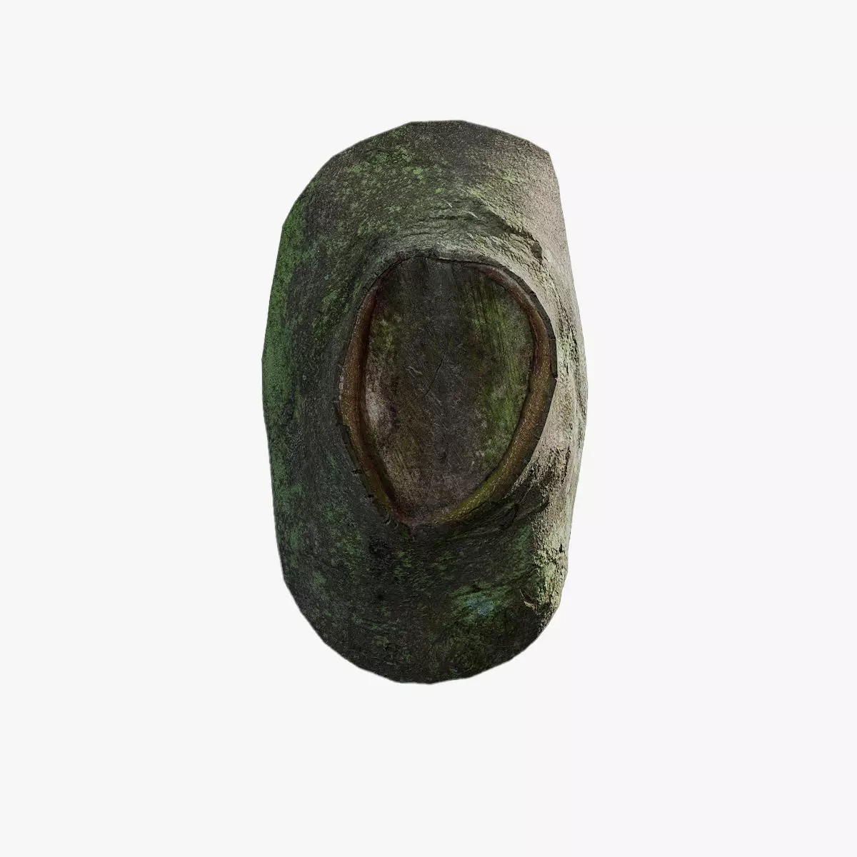 Anydrafts Ficus microcarpa Burl 09 Low-poly 3D model