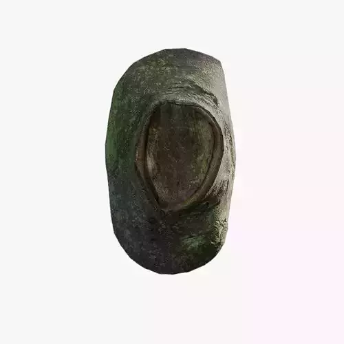 Anydrafts Ficus microcarpa Burl 09