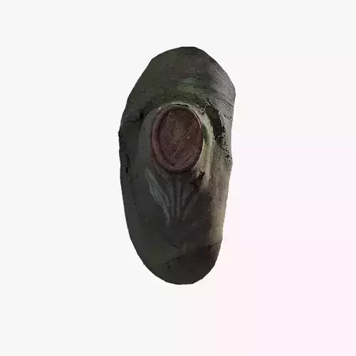 Anydrafts Ficus microcarpa Burl 14