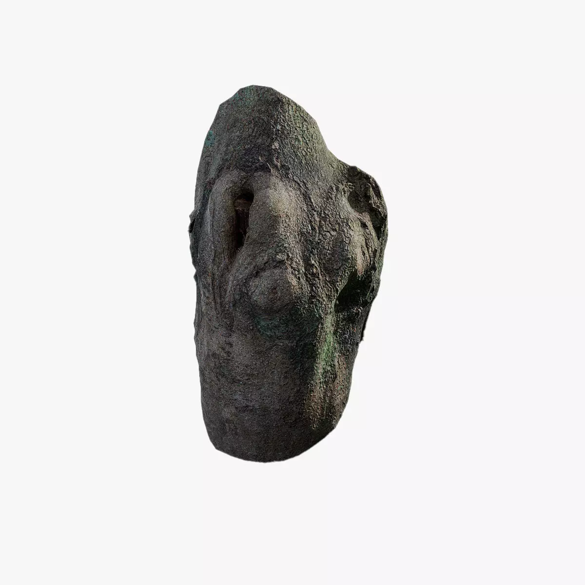 Anydrafts Ficus virens Burl 02 Low-poly 3D model_0