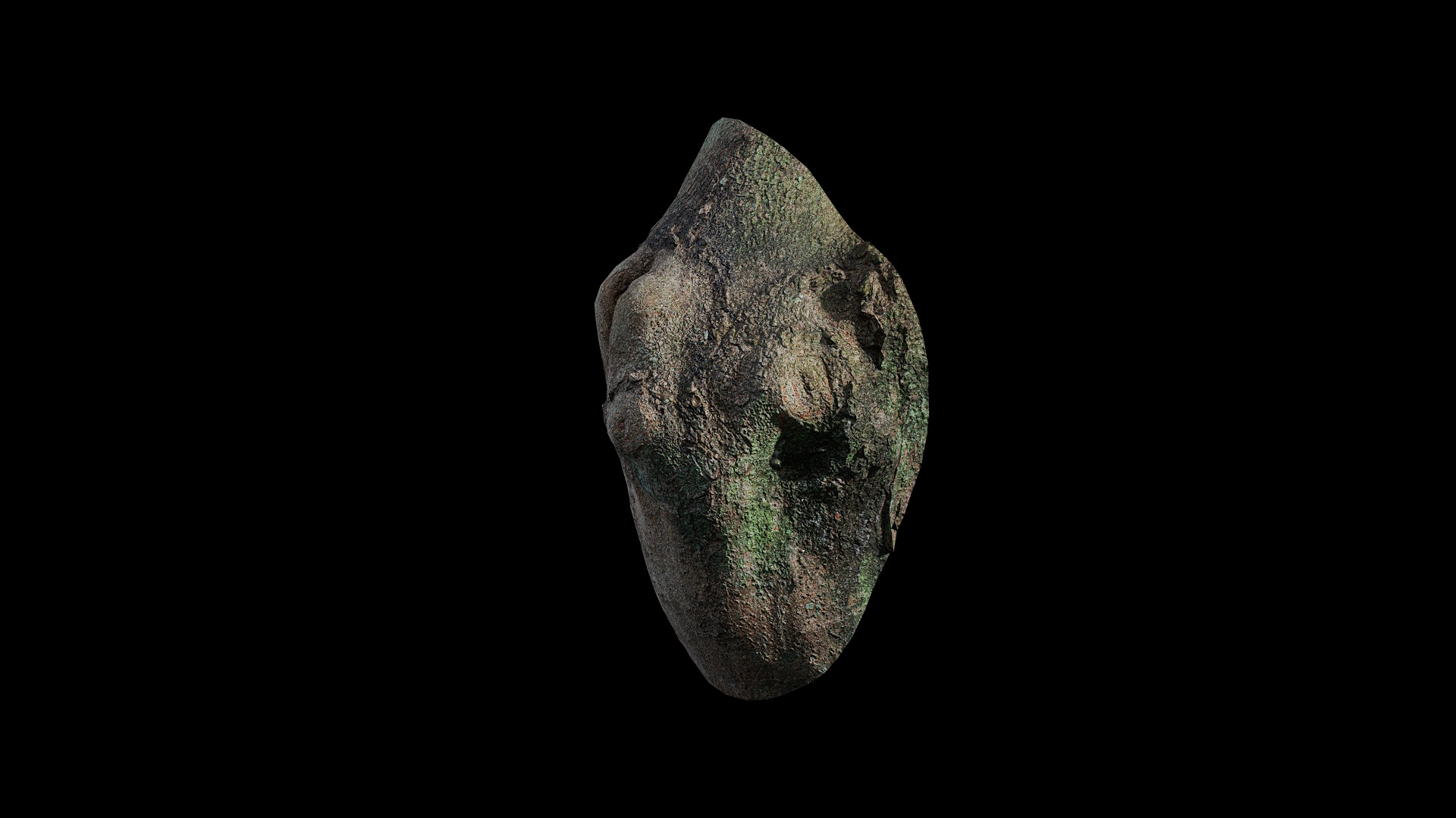 Anydrafts Ficus virens Burl 02 Low-poly 3D model_4