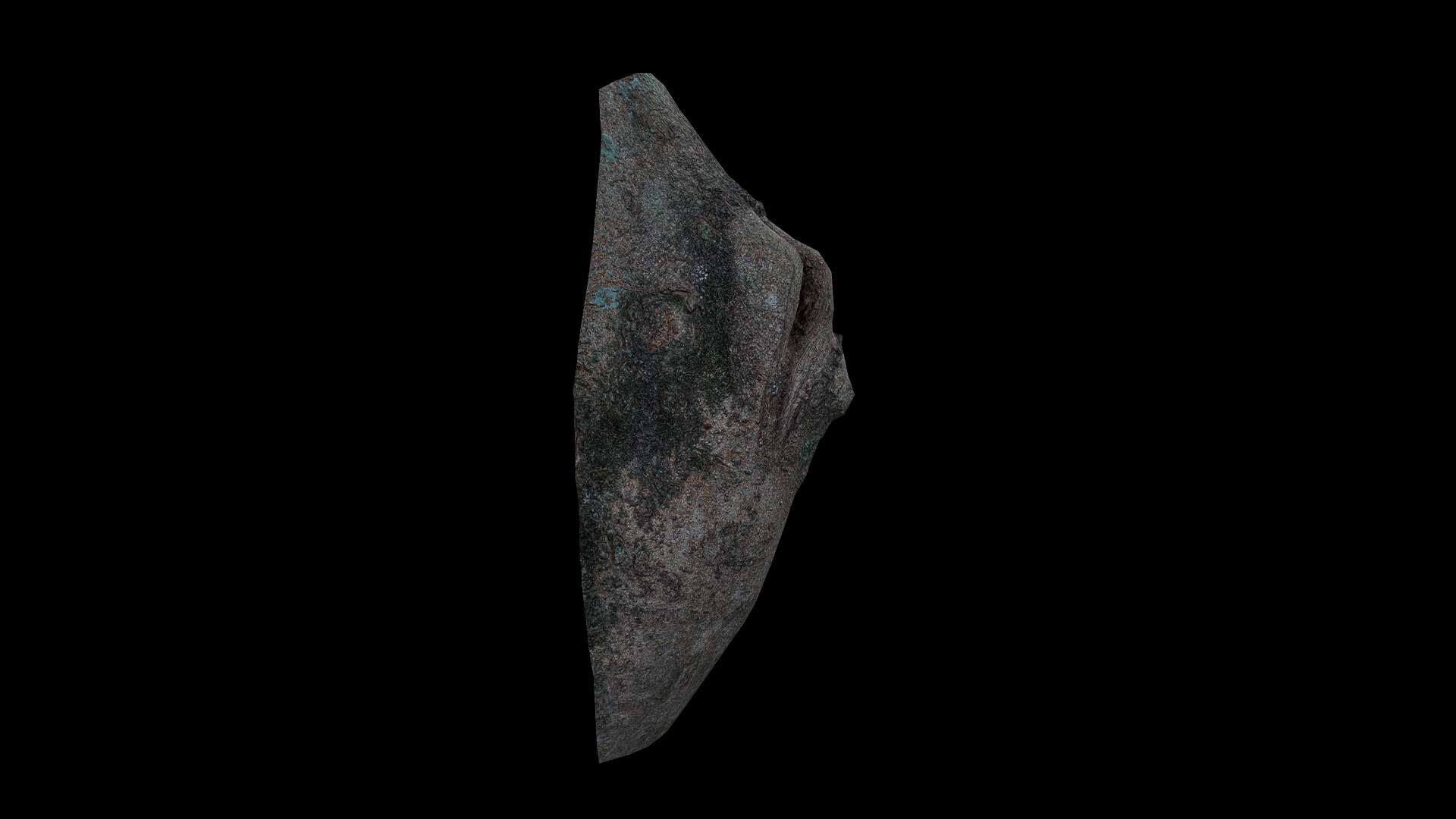 Anydrafts Ficus virens Burl 02 Low-poly 3D model_7