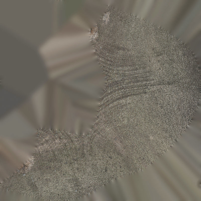 Anydrafts Ficus virens Burl 03 Low-poly 3D model_1