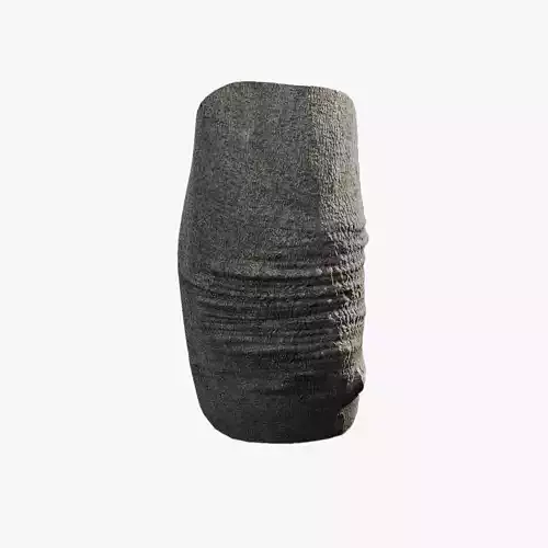 Anydrafts Ficus virens Burl 03