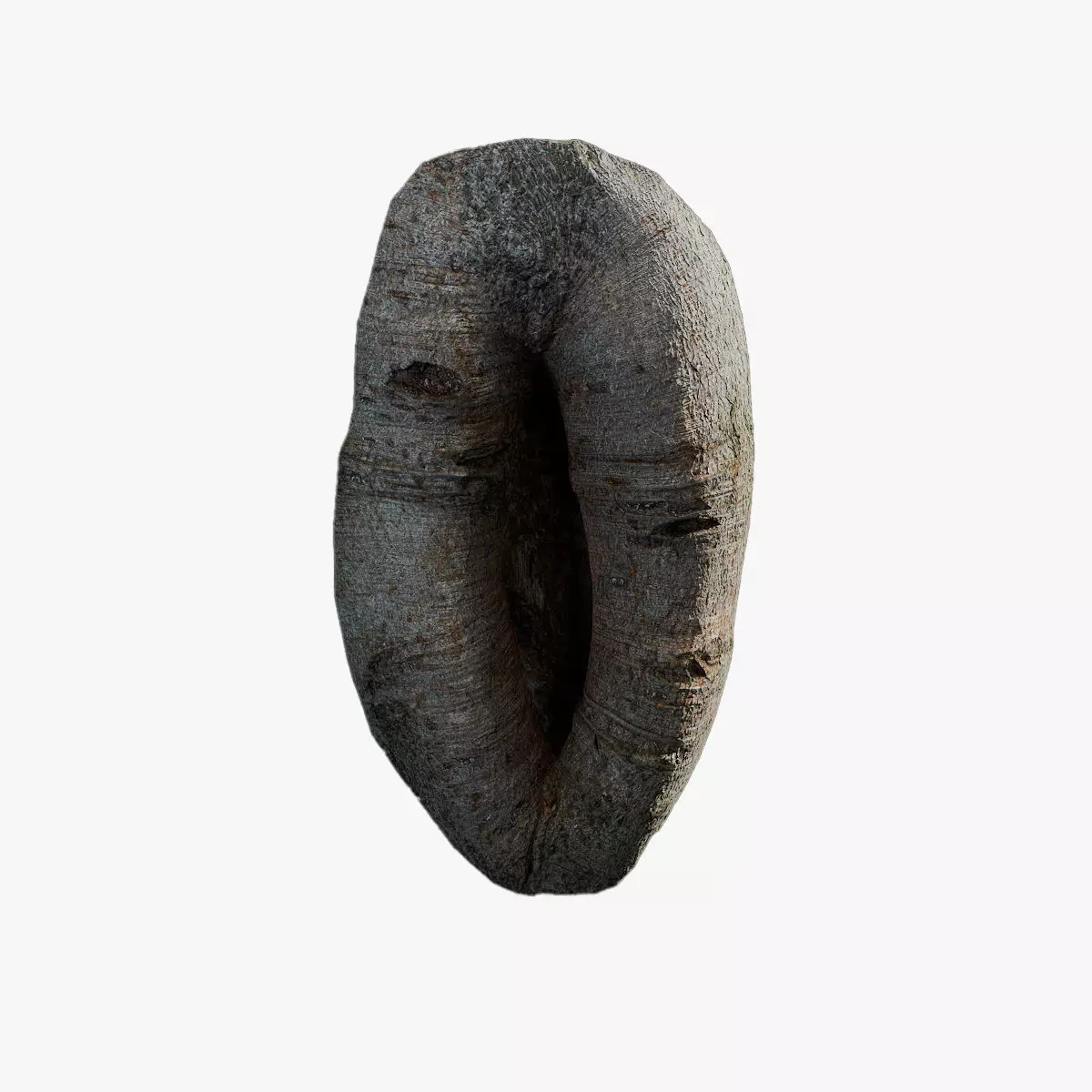Anydrafts Ficus virens Burl 04 Low-poly 3D model