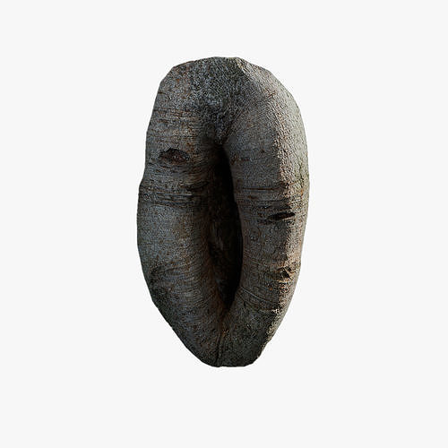 Anydrafts Ficus virens Burl 04 Low-poly 3D model