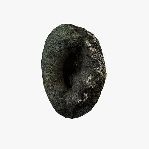 Anydrafts Ficus virens Burl 05 Low-poly 3D model