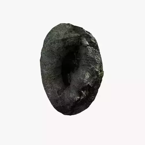 Anydrafts Ficus virens Burl 05 Low-poly 3D model