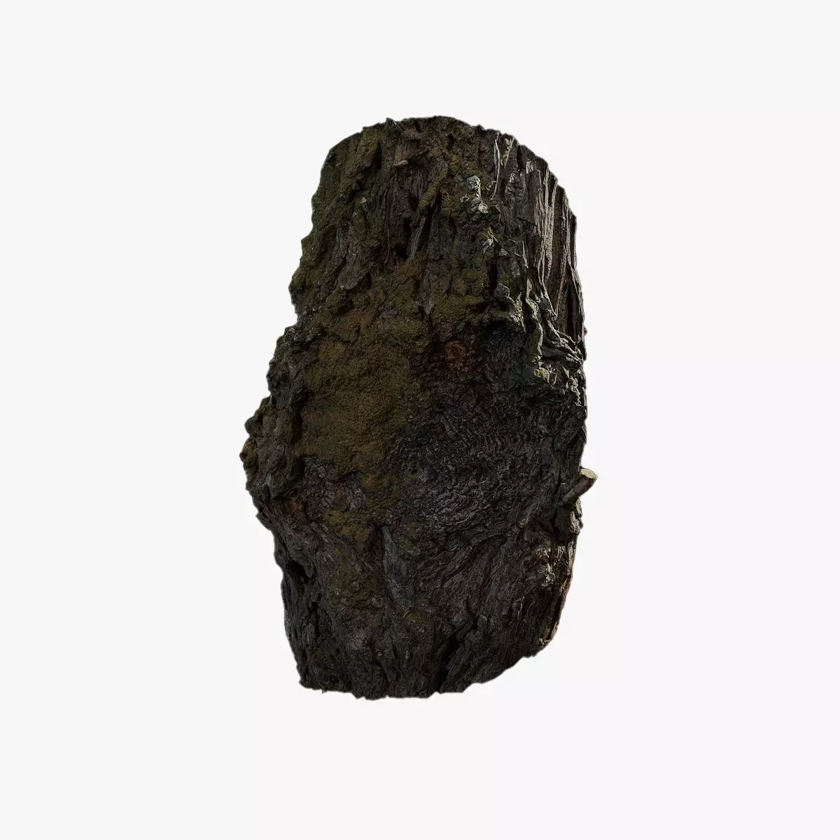 Anydrafts Hippophae rhamnoides Burl 02 Low-poly 3D model