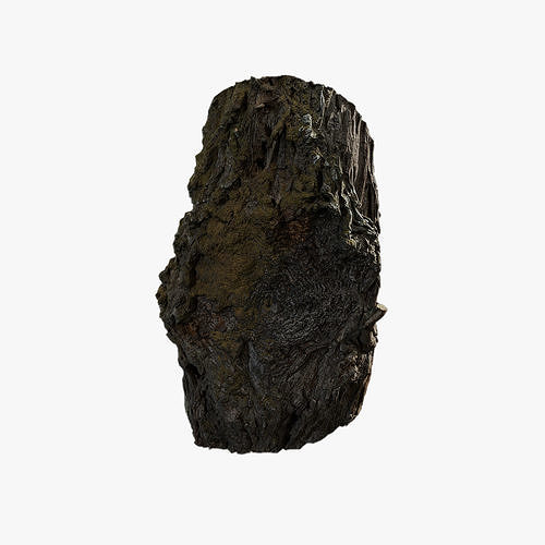 Anydrafts Hippophae rhamnoides Burl 02 Low-poly 3D model