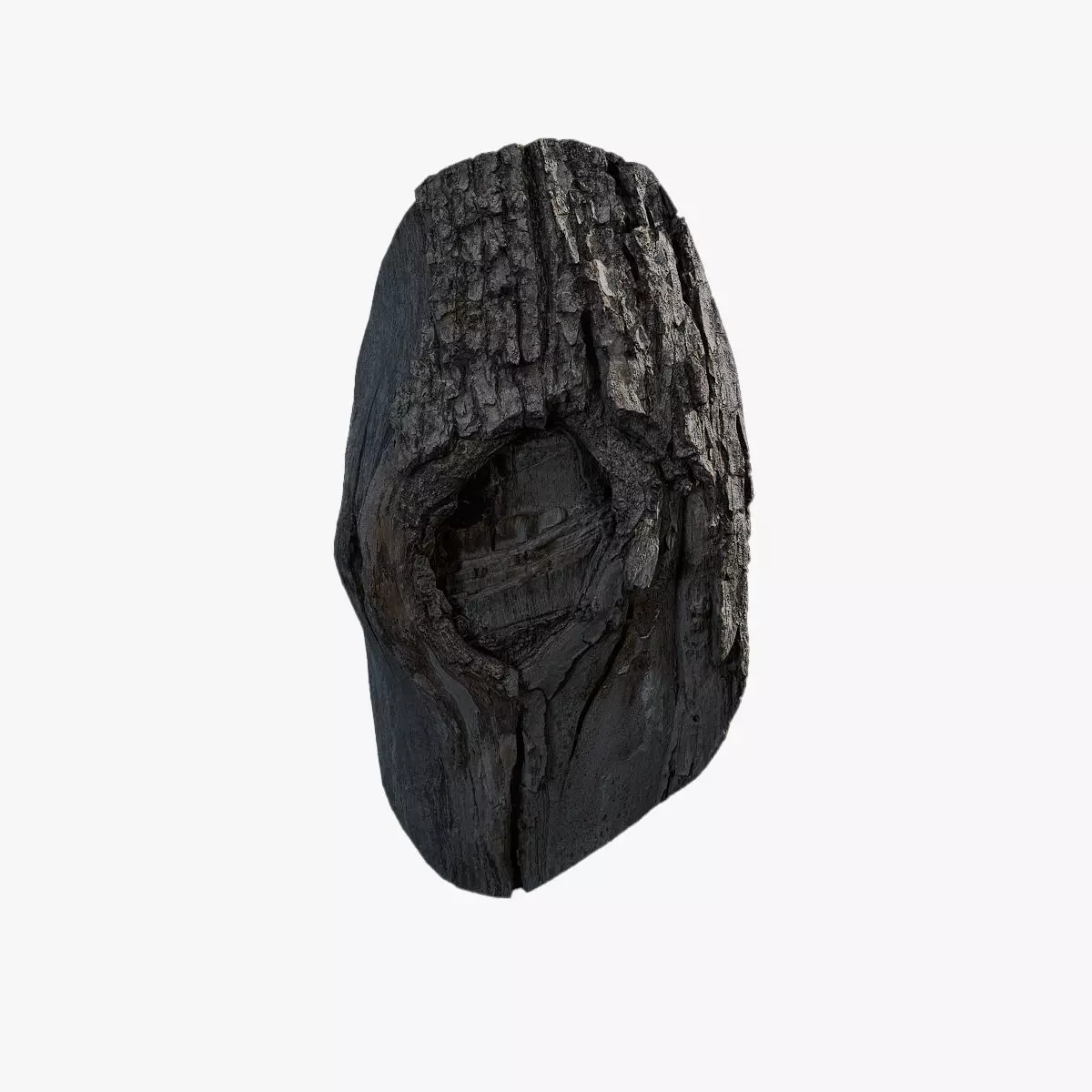 Anydrafts Hippophae rhamnoides Burl 03 Low-poly 3D model