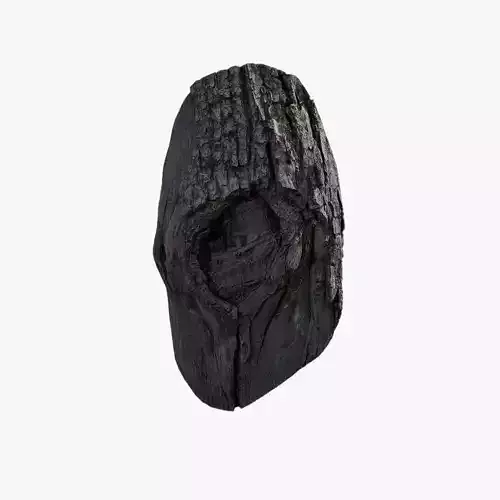 Anydrafts Hippophae rhamnoides Burl 03 Low-poly 3D model
