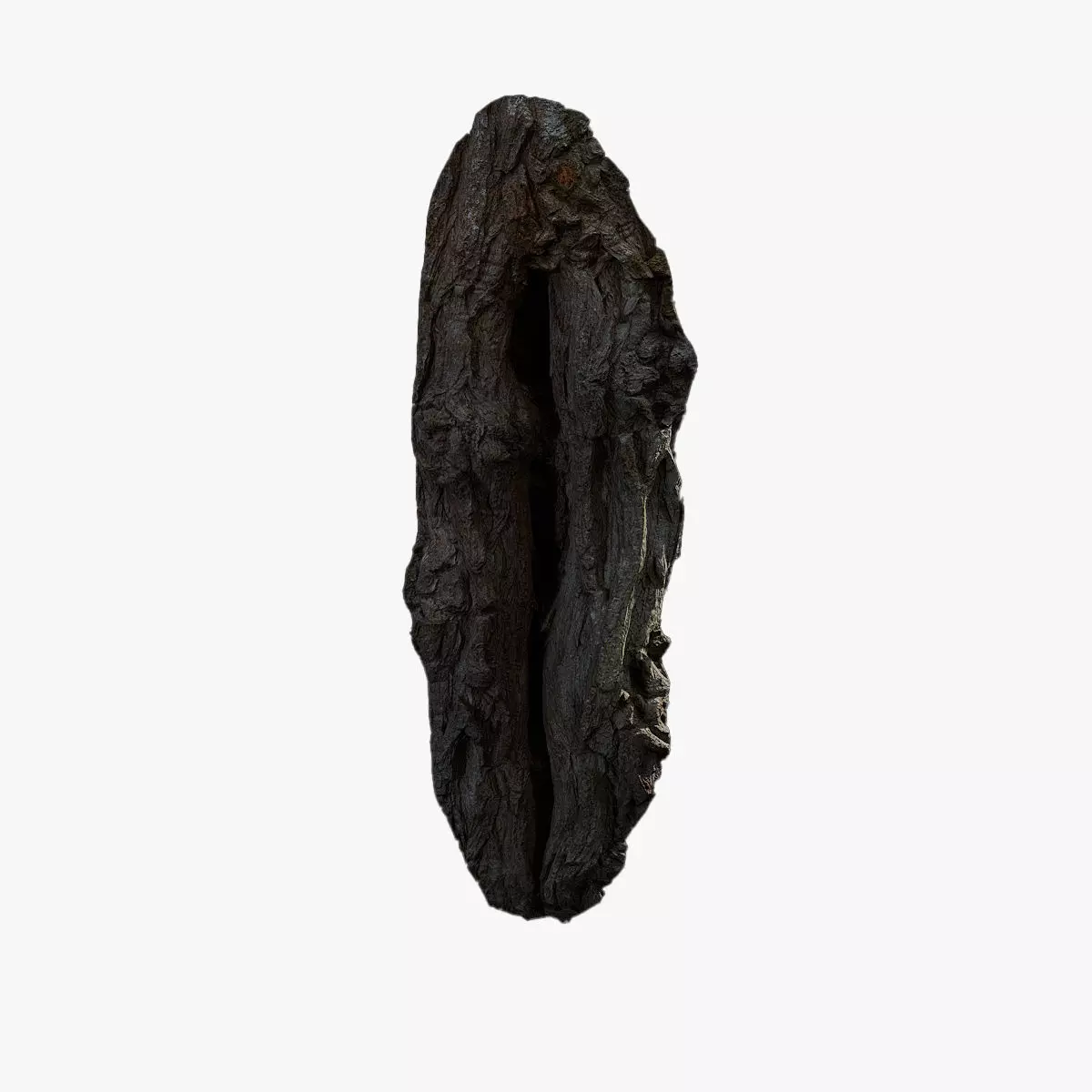 Anydrafts Hippophae rhamnoides Burl 04 Low-poly 3D model