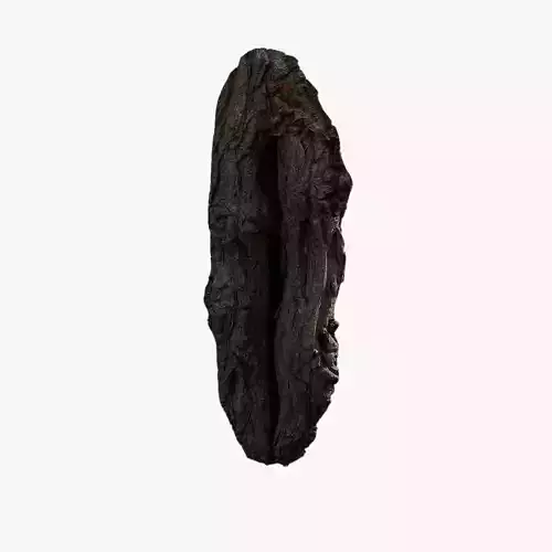 Anydrafts Hippophae rhamnoides Burl 04 Low-poly 3D model