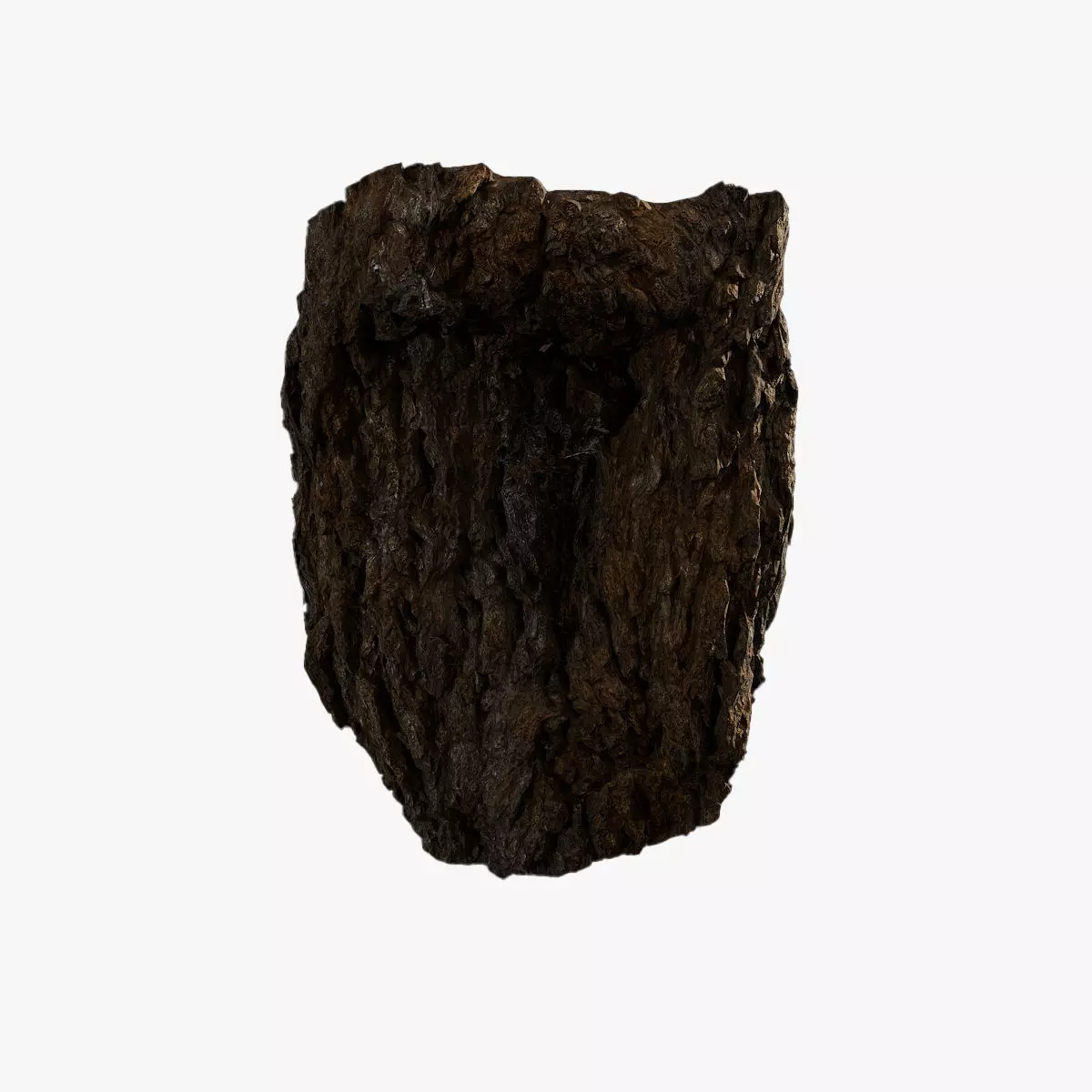 Anydrafts Hippophae rhamnoides Burl 05 Low-poly 3D model
