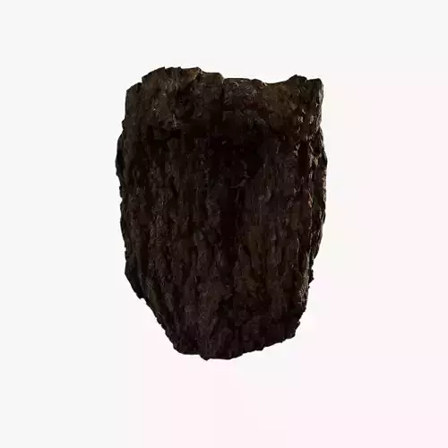 Anydrafts Hippophae rhamnoides Burl 05