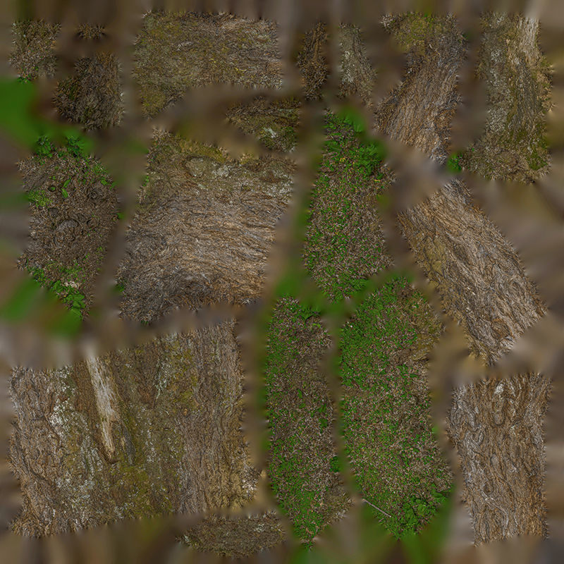Anydrafts Hippophae rhamnoides Trunk 06 Low-poly 3D model_1
