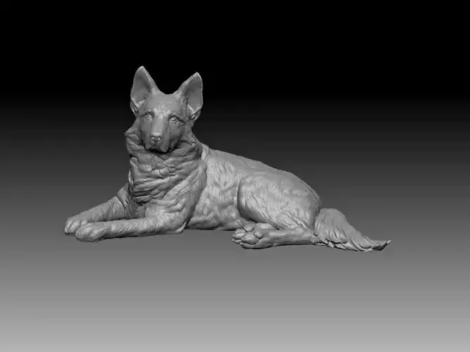 German Shepherd 3d print 3D print model