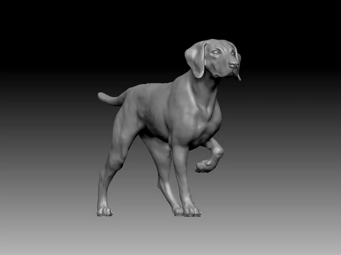 german Pointer Dog 3D print model 3D print model_0
