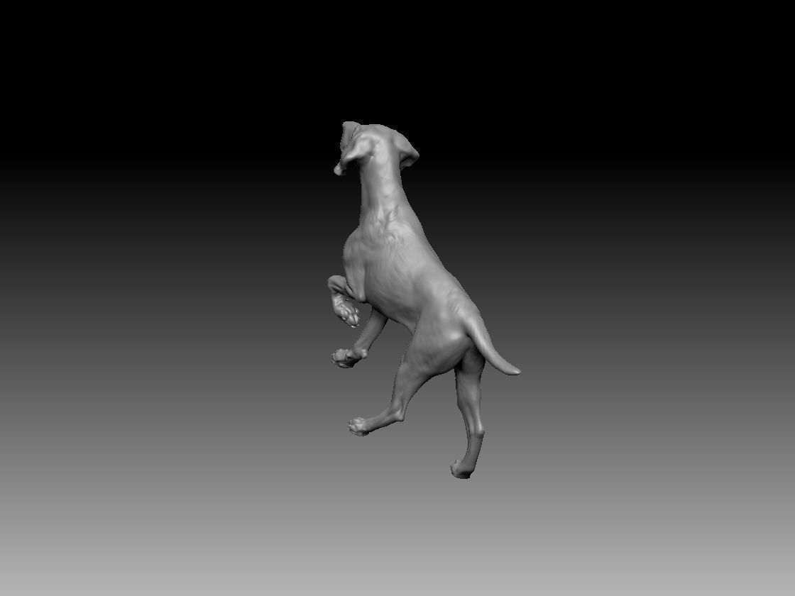 german Pointer Dog 3D print model 3D print model_3