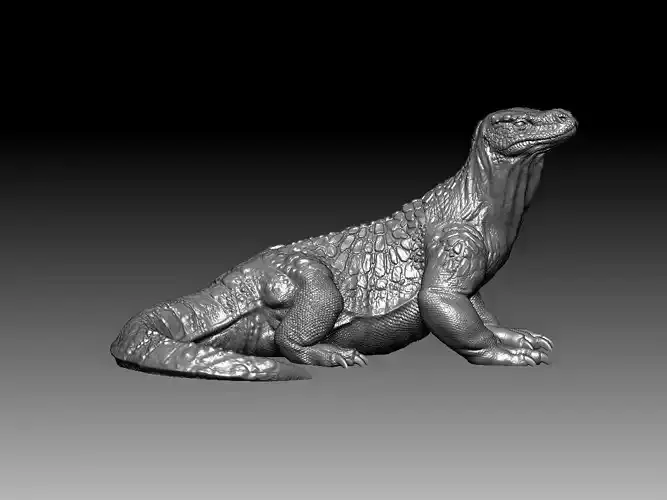 Komodo Dragon 3D Print Model  3D print model